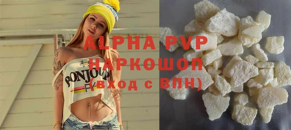 прущие грибы Аркадак