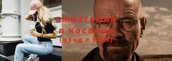прущие грибы Аркадак