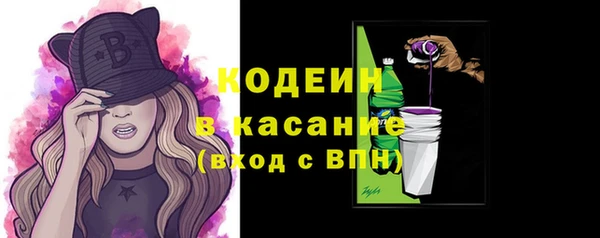 прущие грибы Аркадак