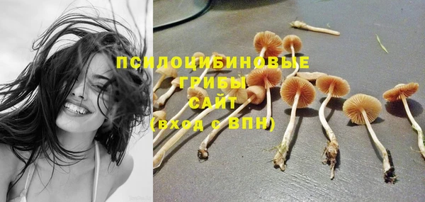 гашик Великий Новгород